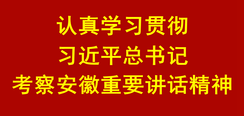 学习贯彻习近平总书记考察安徽重要讲话精神